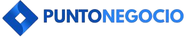 cropped-Logo_Punto_Negocio-removebg-preview-removebg-preview.png
